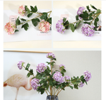 Wood Hydrangea - False Flowers