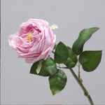 Austin Rose - False Flower