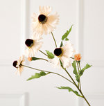 Fork Sunflower - False Flower