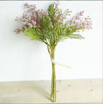 Plant Hair Acacia Beans - False Flowers