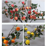 7 Fruit Branches - False Fruits