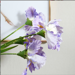 High-End Iris - False Flowers