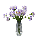 High-End Iris - False Flowers