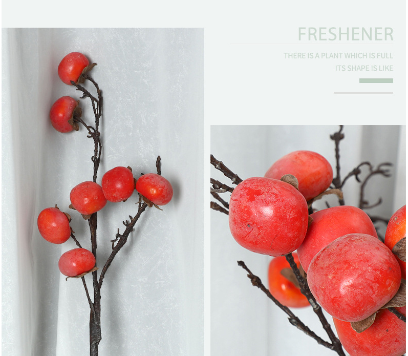 Fruit Flat Persimmon Branch - False Fruit