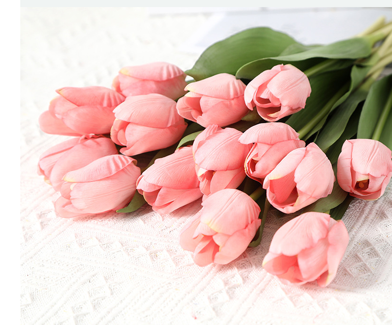 Lafite Tulip - False Flowers