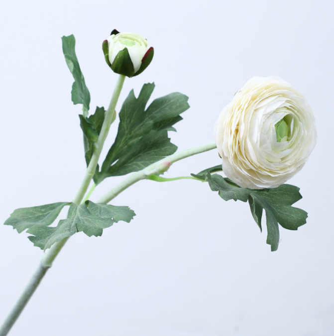 Dew Lily - False Flowers