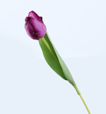 Feel Tulip - False Flower