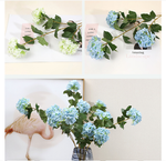 Wood Hydrangea - False Flowers