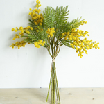 Plant Hair Acacia Beans - False Flowers