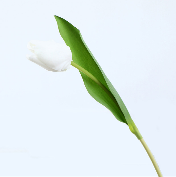 Lafite Tulip - False Flowers