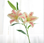 Lily - False Flowers