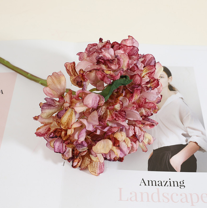 Vintage Charred French Hydrangea - False Flowers