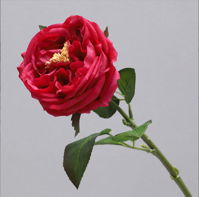 Austin Rose - False Flower