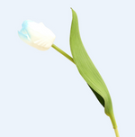 Lafite Tulip - False Flowers