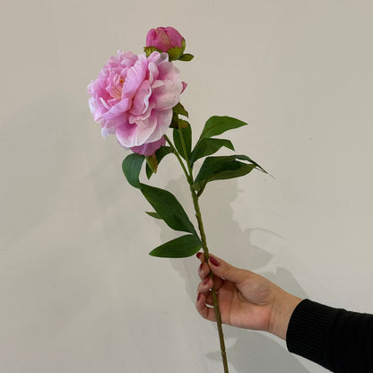 قەدی گوڵی پیۆنی دەستکرد