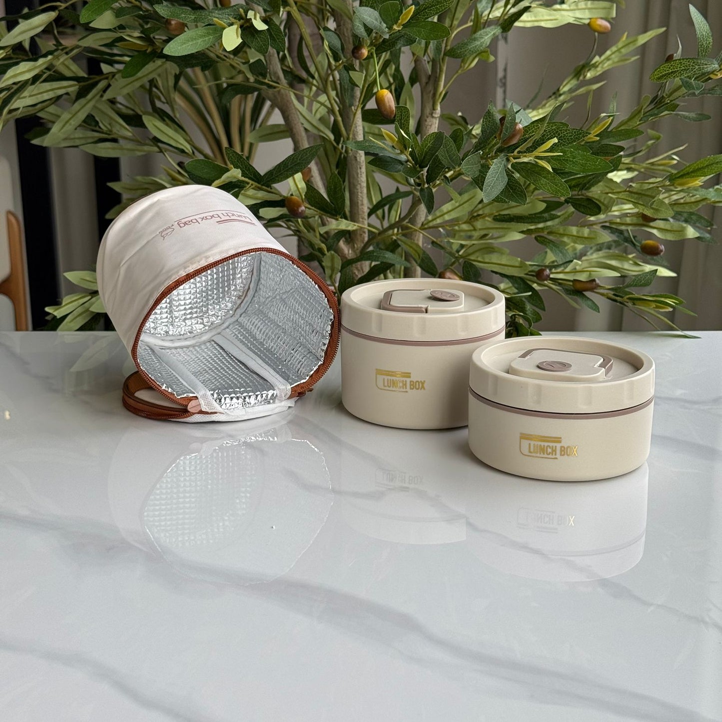 Stainless Steel Insulated Lunch Bowl with Thermal Bag