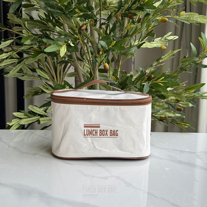 Stainless Steel Insulated Lunch Bowl with Thermal Bag