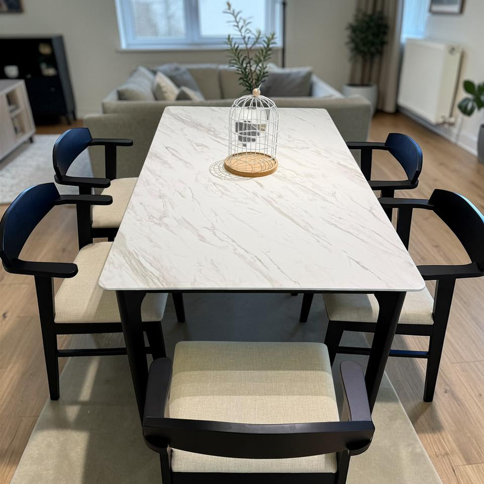 YANICE MARBLE & DYLAN ZAN Modern Chair Luxury Dining Set