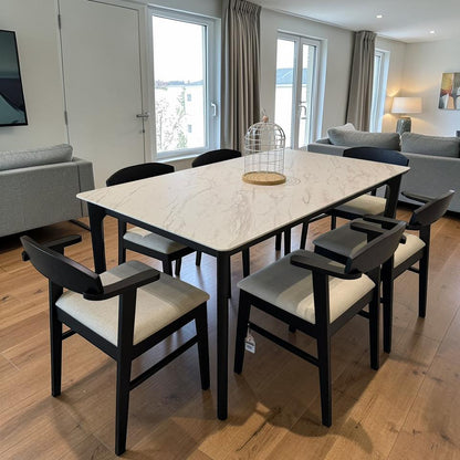 YANICE MARBLE & DYLAN ZAN Modern Chair Luxury Dining Set