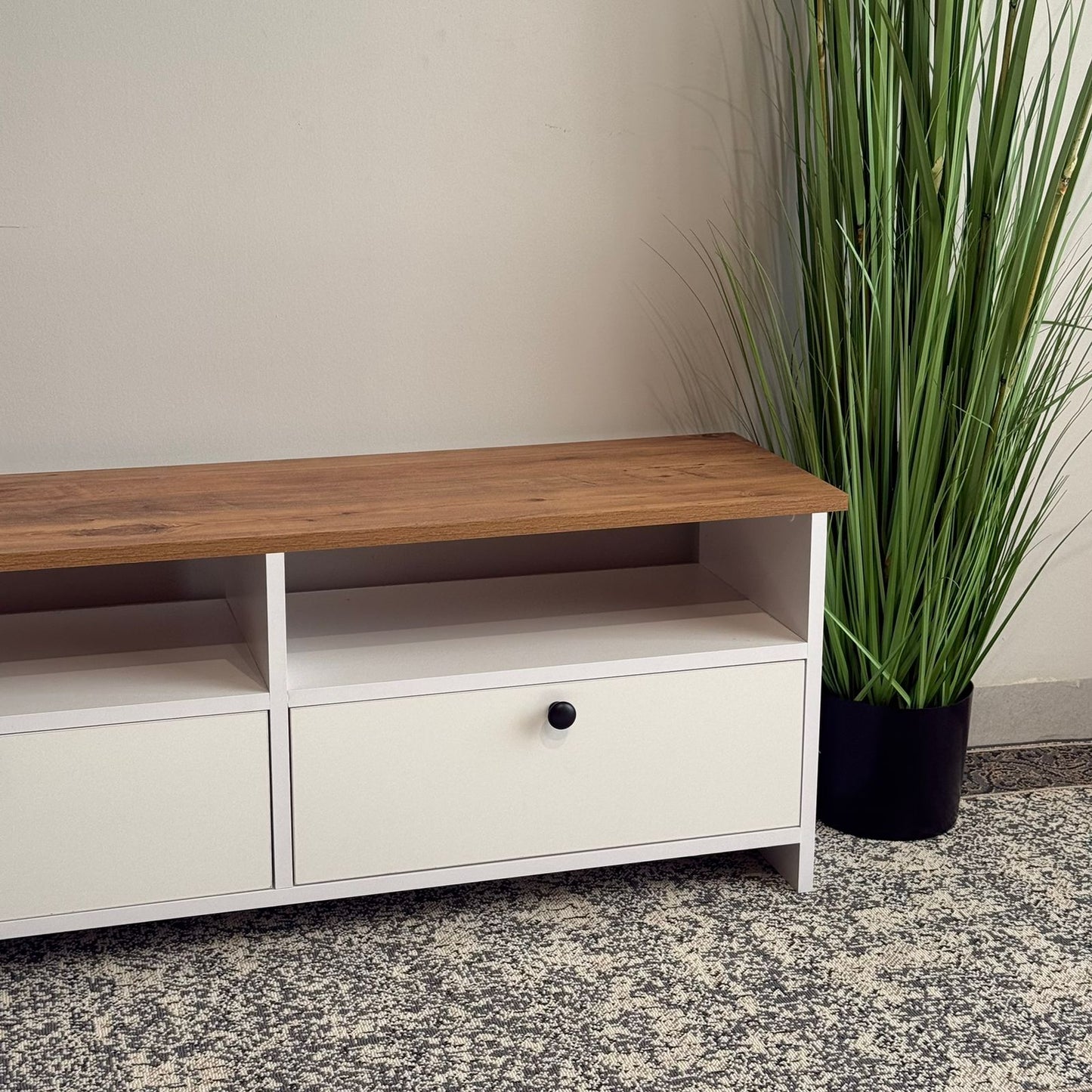 Minimalist Modern TV Table with Storage
