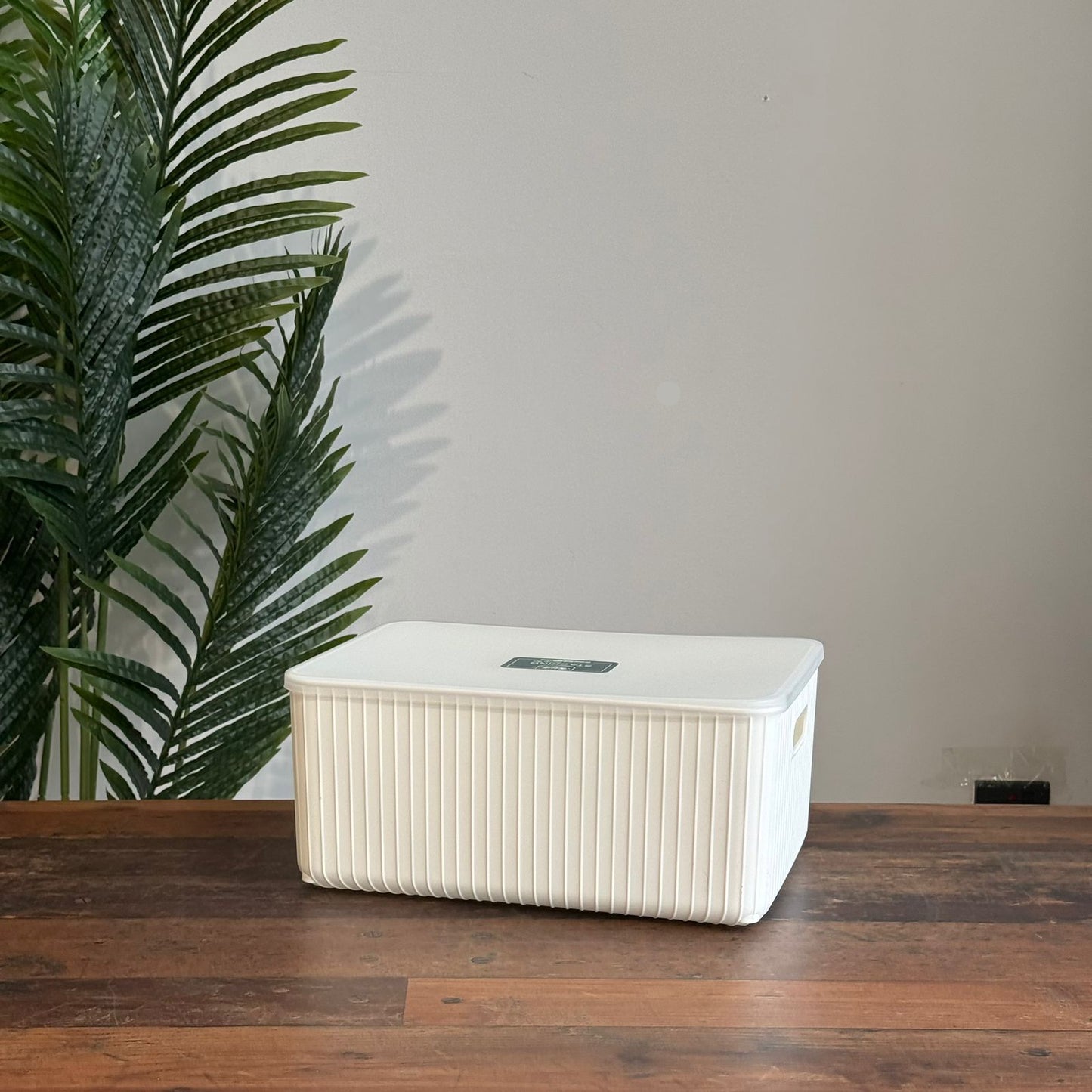 Modern Multi-Purpose Storage Boxes wit Cover