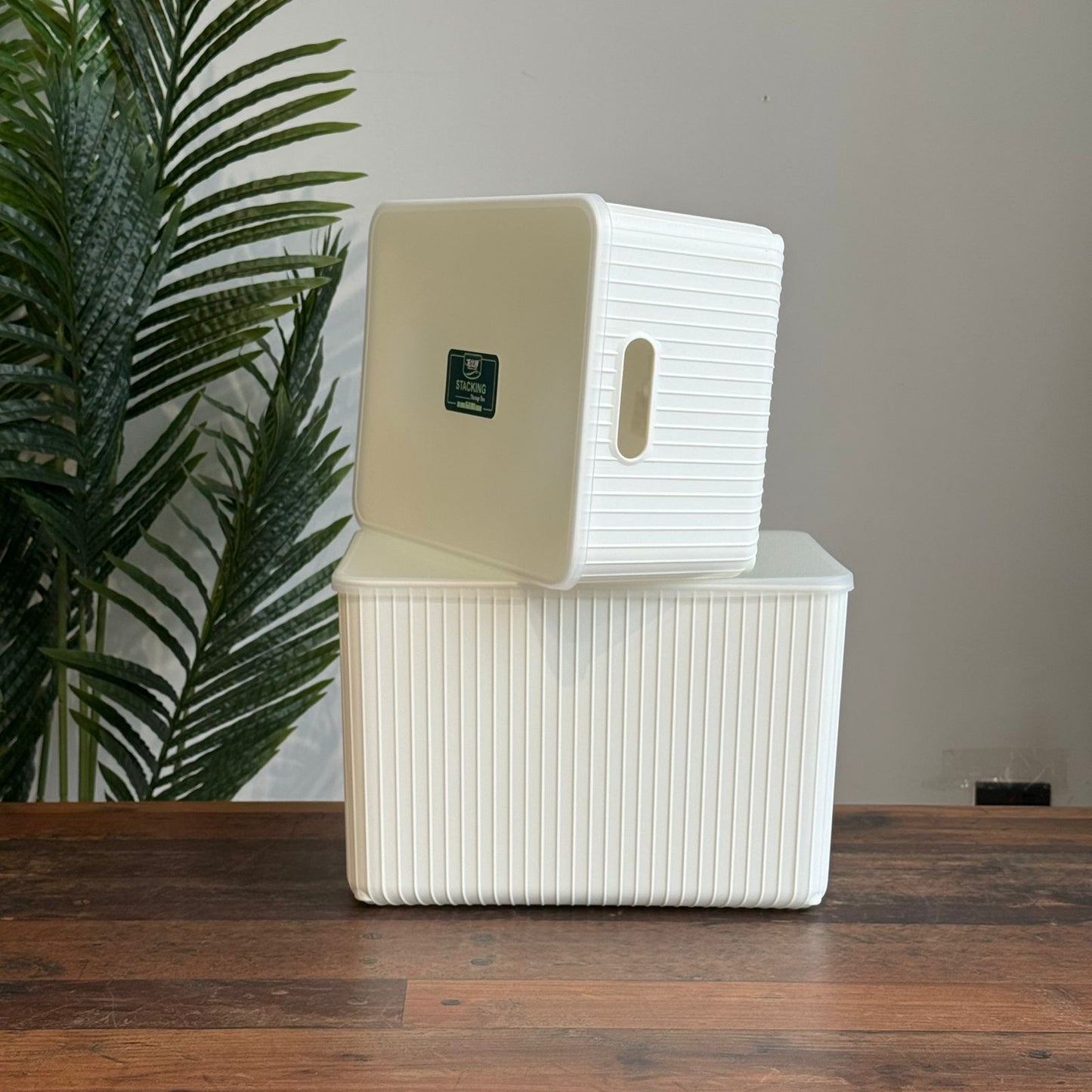 Modern Multi-Purpose Storage Boxes wit Cover