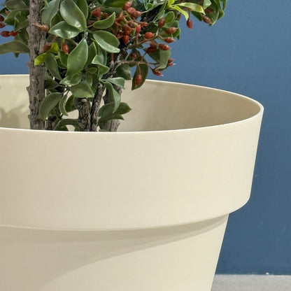 Classic Plastic Plant Pot with Saucer Tray
