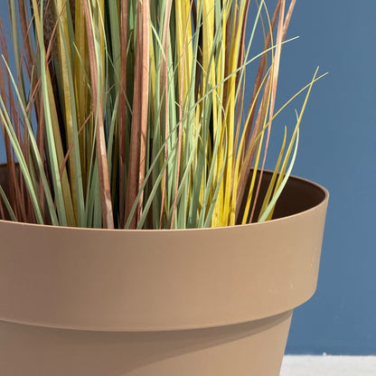 Classic Plastic Plant Pot with Saucer Tray