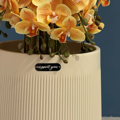Modern Ribbed Plastic Planter Pot with Matching Drainage Saucer Tray