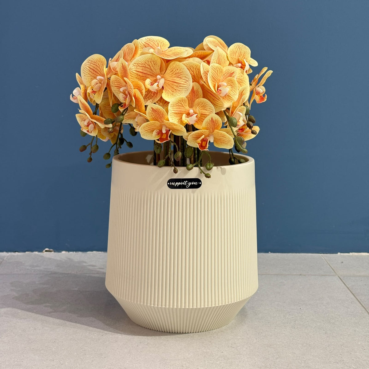 Modern Ribbed Plastic Planter Pot with Matching Drainage Saucer Tray
