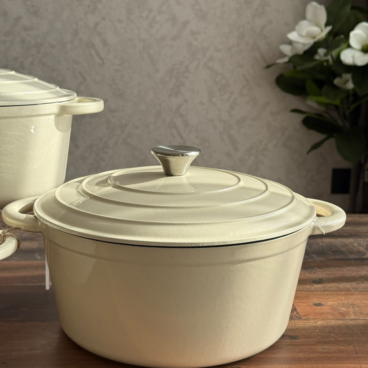 Enamel Cast Iron Dutch Oven Pot with Self-Basting Lid