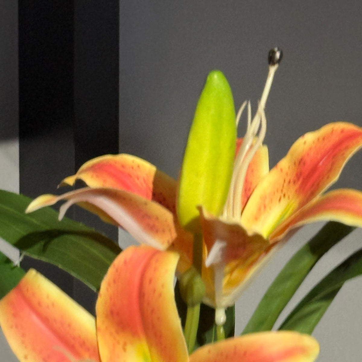 LILY - Potted Artificial Roses