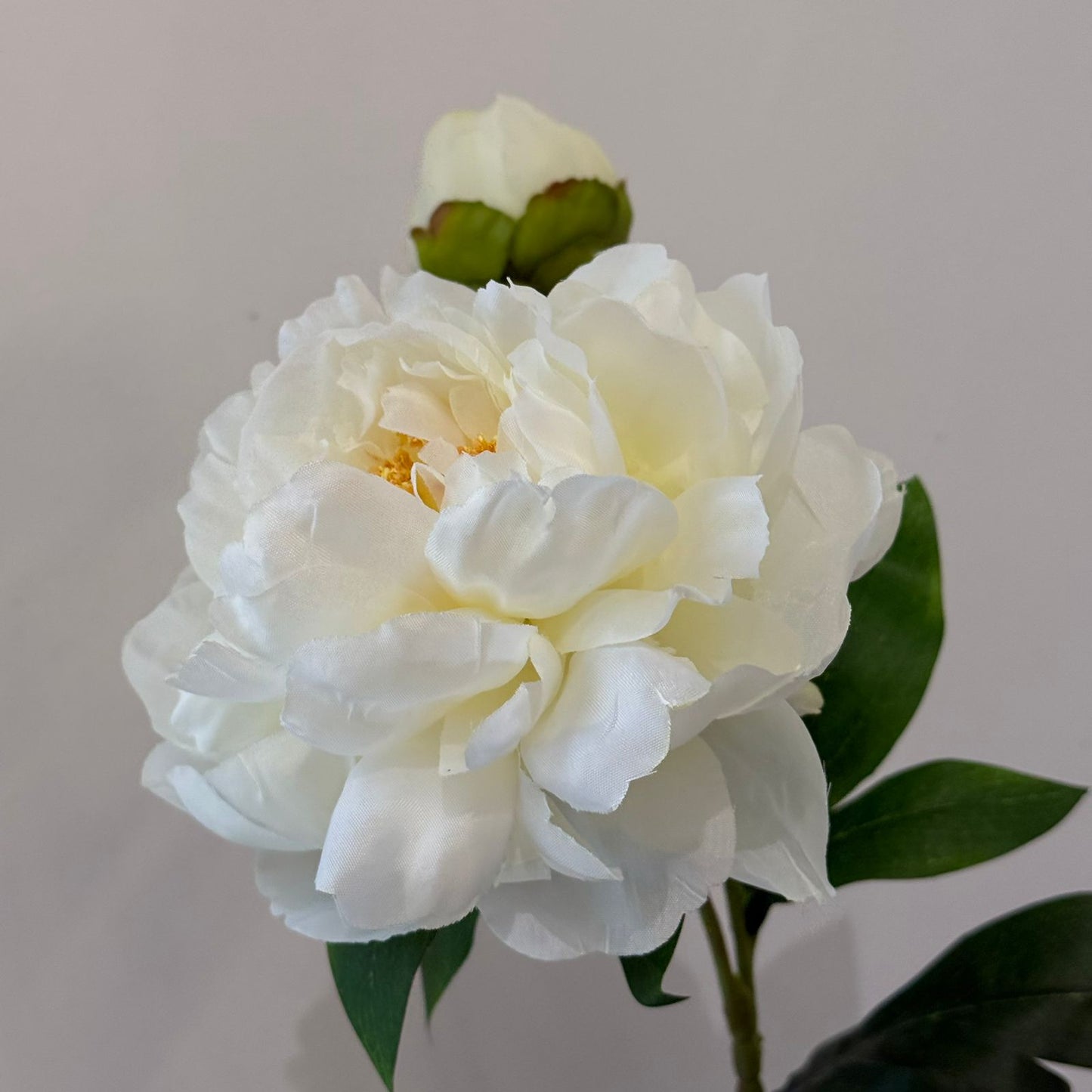 قەدی گوڵی پیۆنی دەستکرد