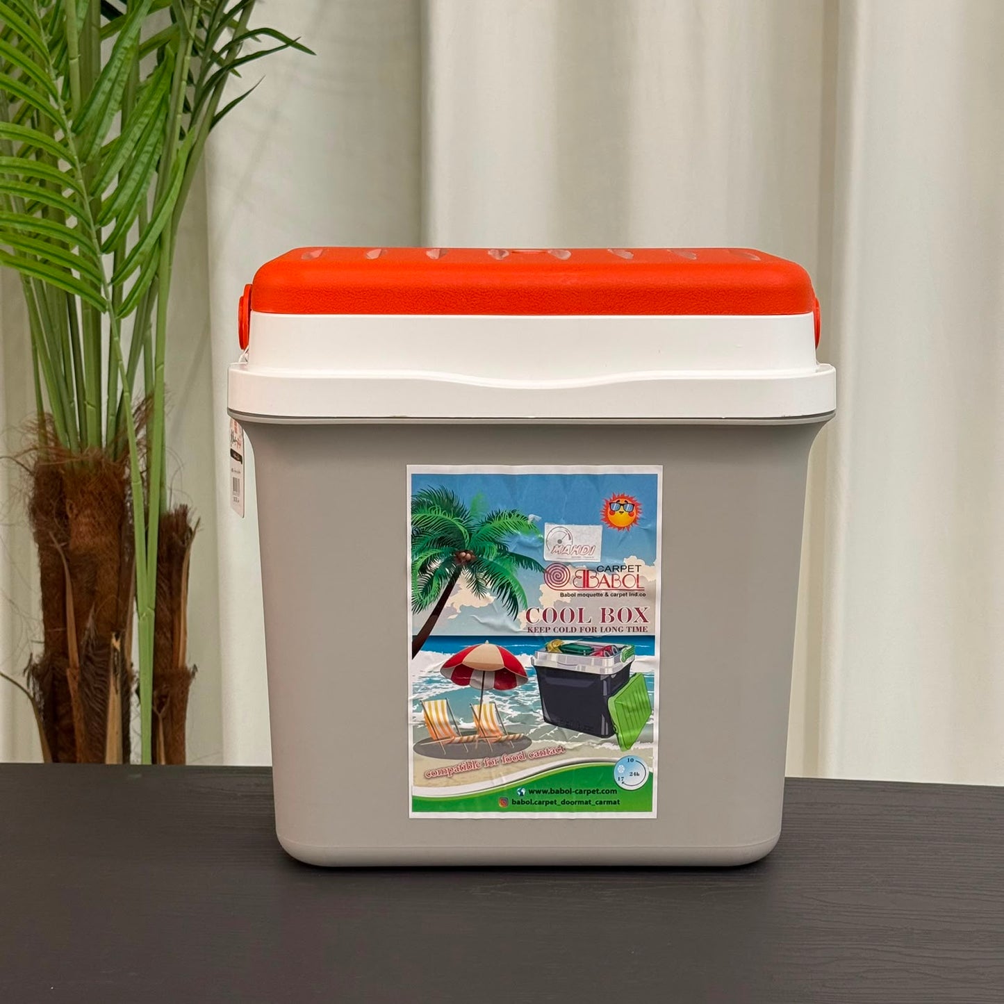 Portable Cooler Box