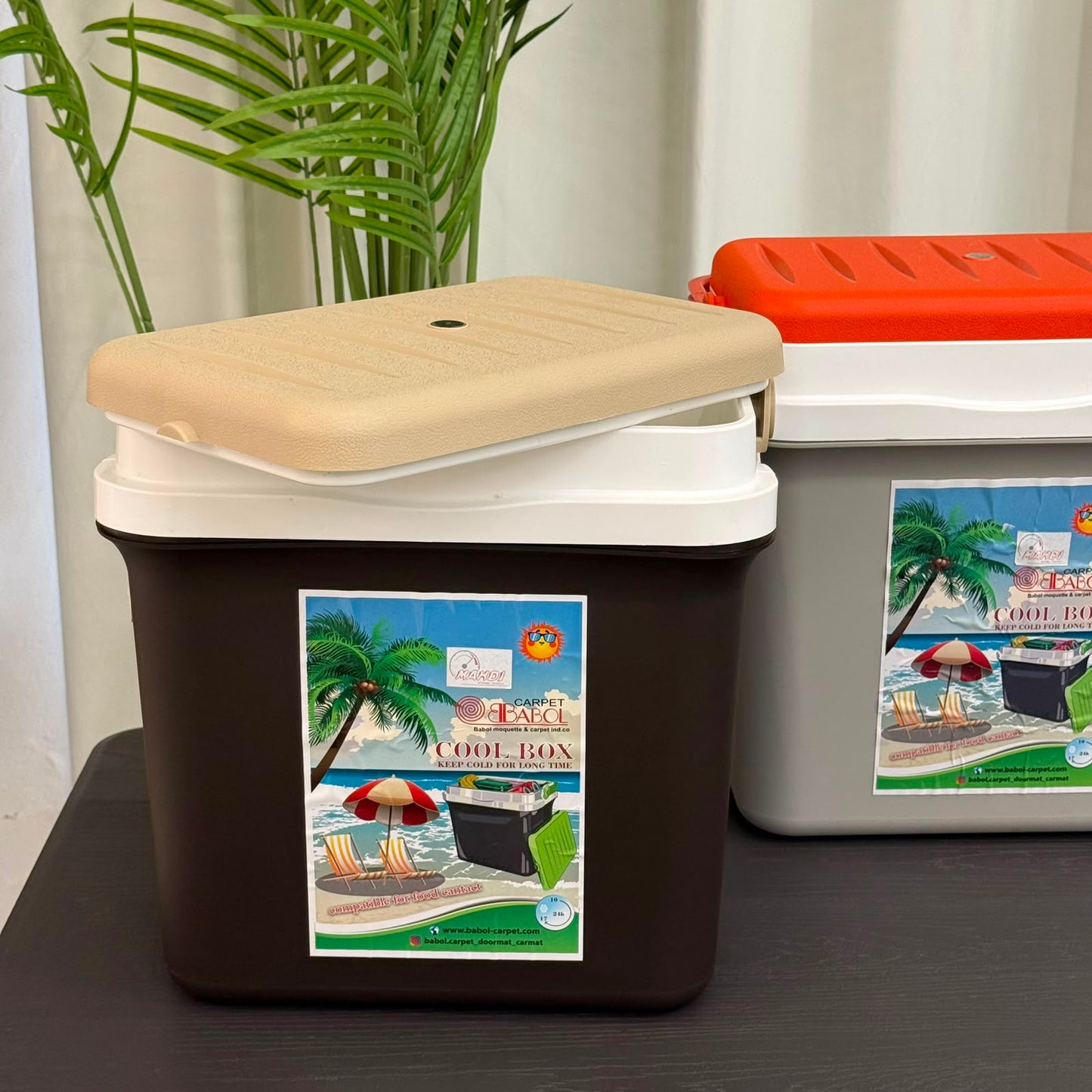 Portable Cooler Box