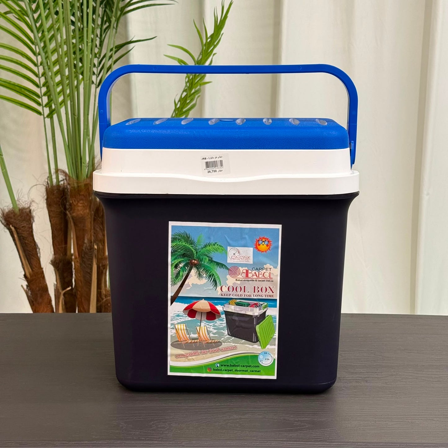 Portable Cooler Box
