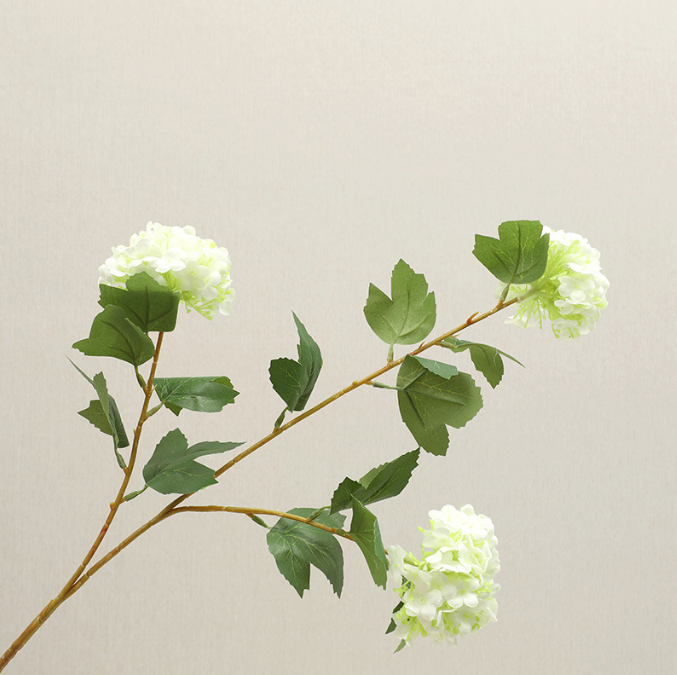 Wood Hydrangea - False Flowers