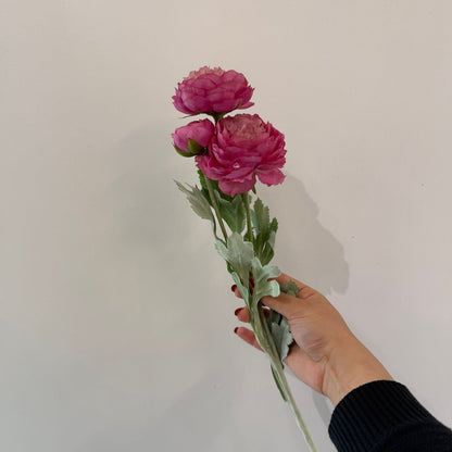 ألف زولو ليان - زهور زائفة