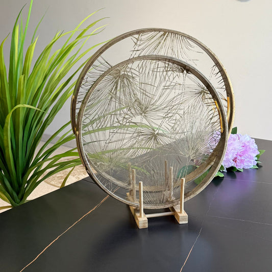 سینی پێشکەشکردنی بازنەیی ناوازە