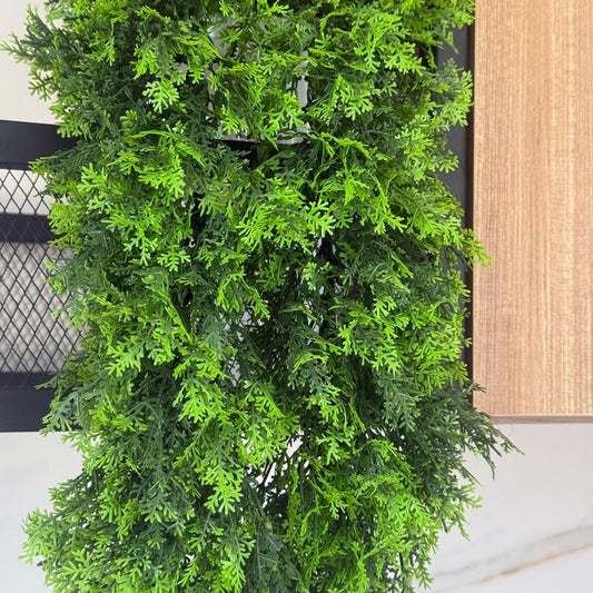 ڕێڕەوی سەوزی گەشاوە - ڕووەکی هەڵواسینی دەستکرد