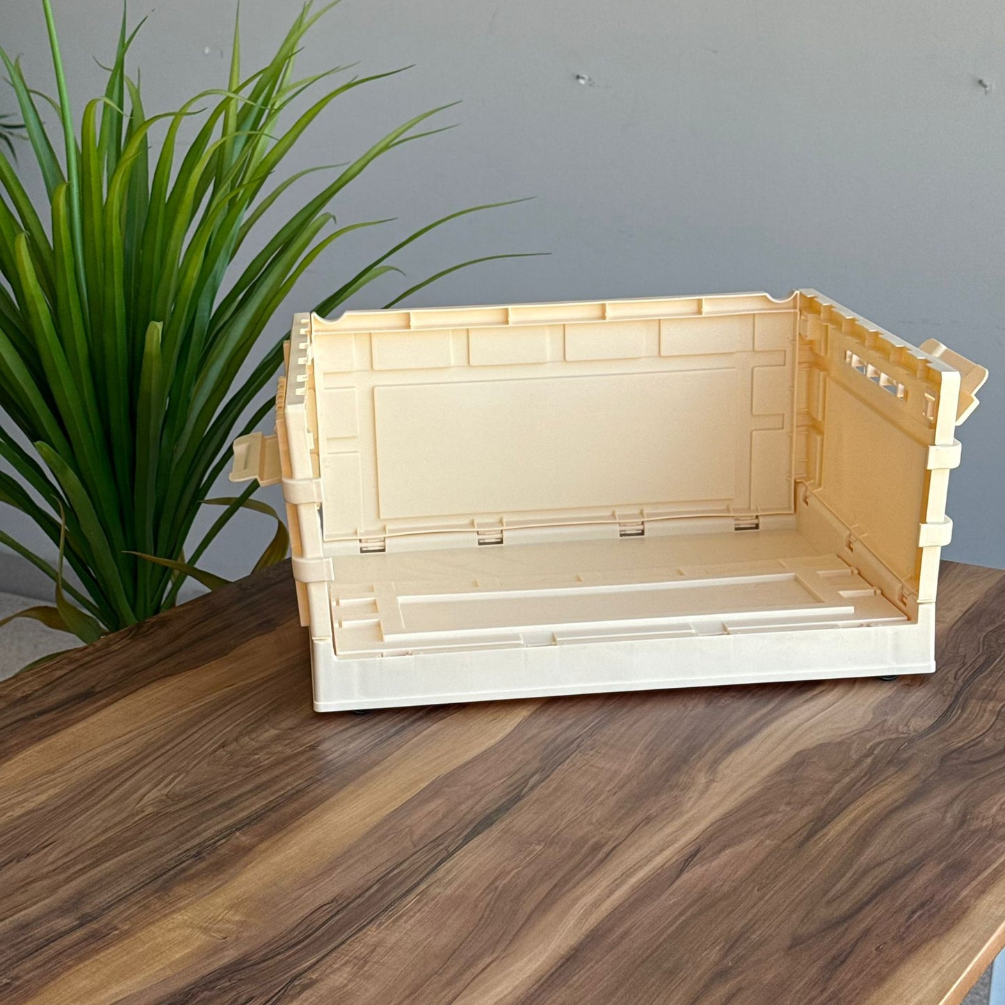 Foldable Multi-Purpose Storage Boxes