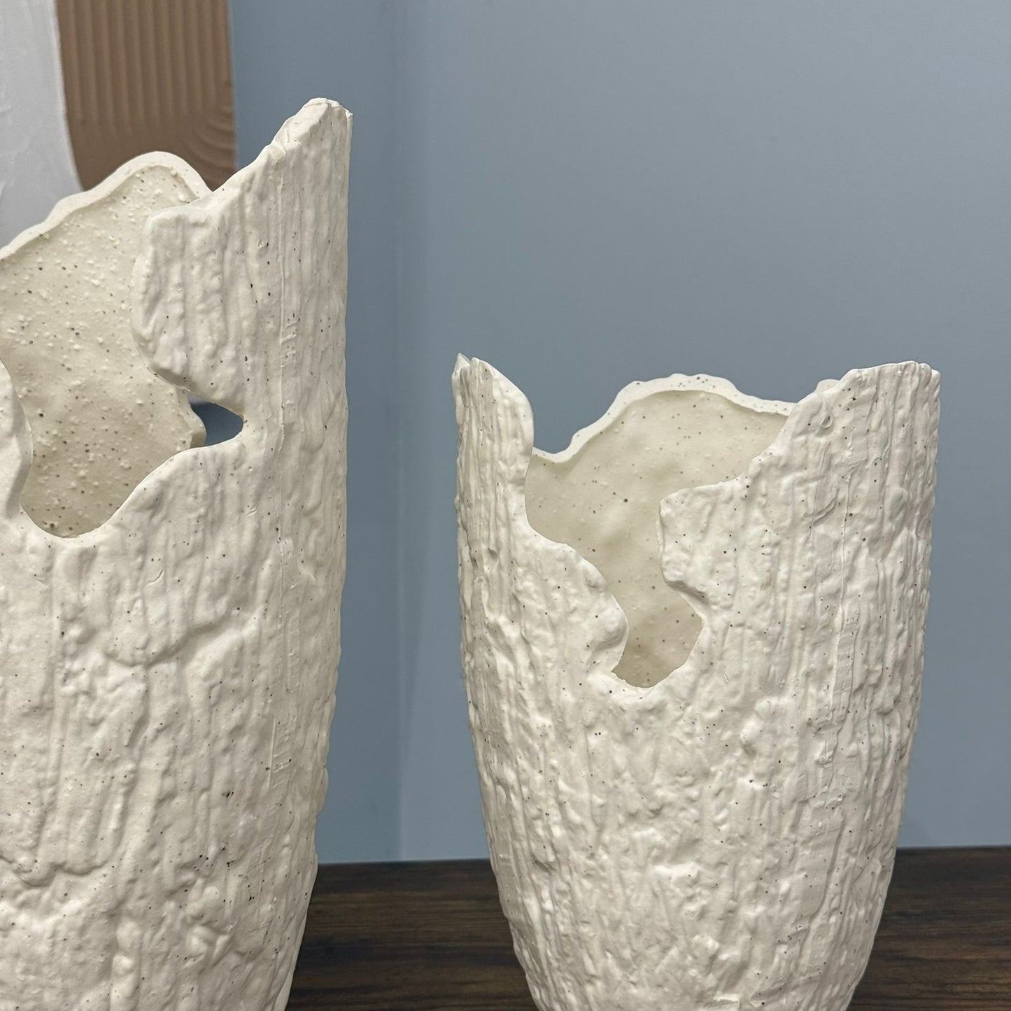 Nature Crave Decorative Vases