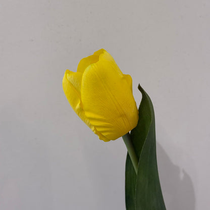 Tulip Artificial Flower Stem