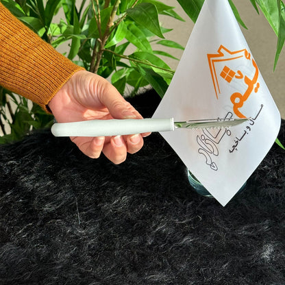 Prestige Basic Peeler/Scaler