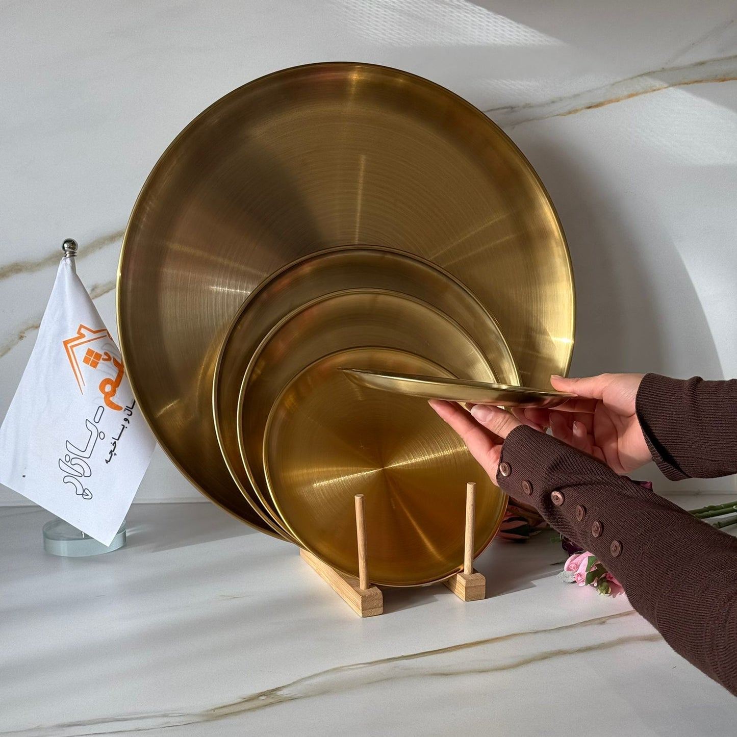 Multi-Purpose Gold Stainless Steel Plates & Trays