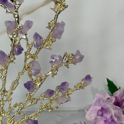 دیکۆری داری گەوهەر