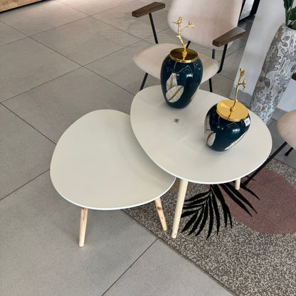 Y521 Modern Coffee Table Plate Shape Set