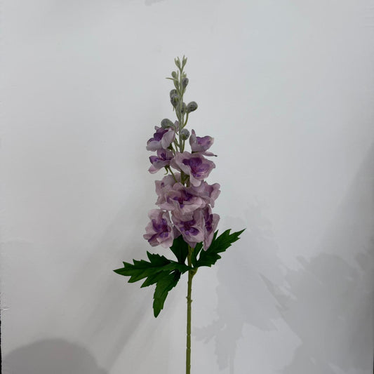 تاوەری سوورکراوەی دێلفینۆم