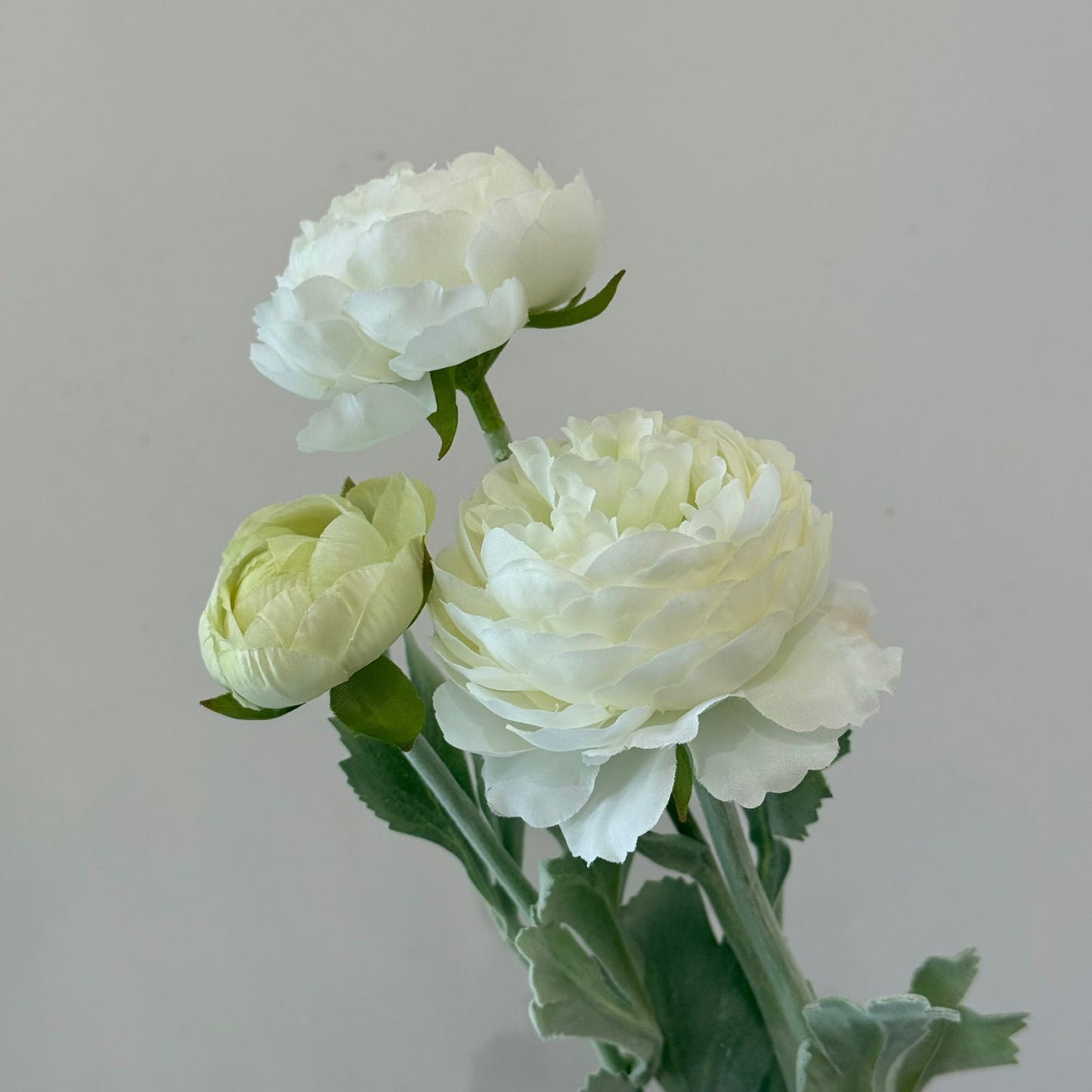 ألف زولو ليان - زهور زائفة