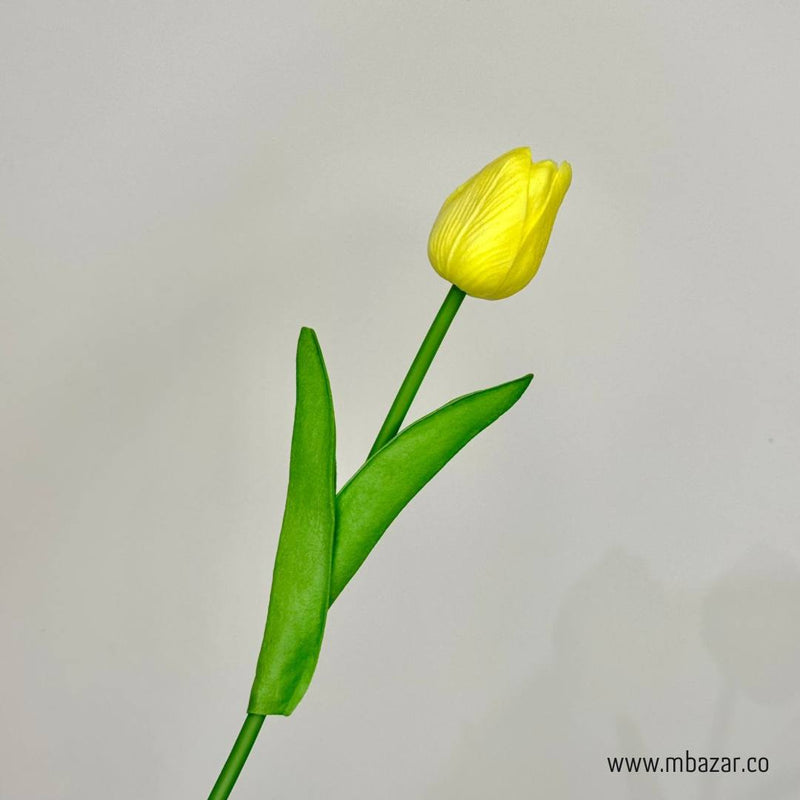 Tulip - False Flower